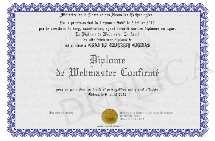 diplome universitaire webmaster